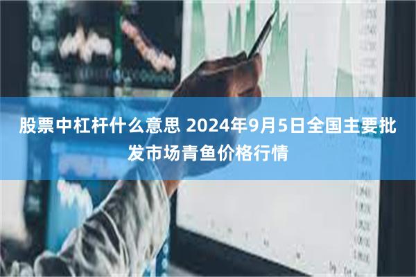 股票中杠杆什么意思 2024年9月5日全国主要批发市场青鱼价格行情